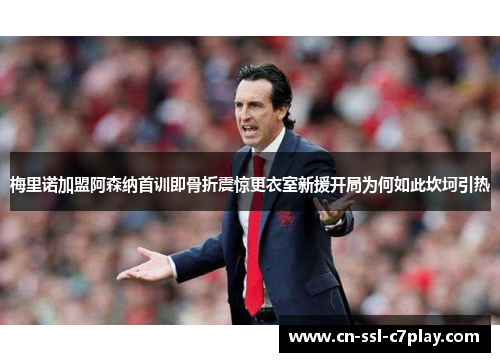 梅里诺加盟阿森纳首训即骨折震惊更衣室新援开局为何如此坎坷引热 梅里诺加盟阿森纳首训即骨折震惊更衣室新援开局为何如此坎坷引热