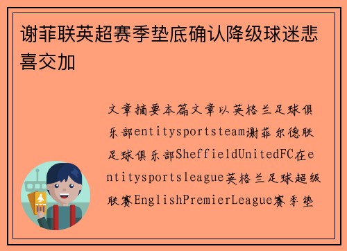 谢菲联英超赛季垫底确认降级球迷悲喜交加 谢菲联英超赛季垫底确认降级球迷悲喜交加